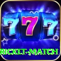 to day cricket match Deluxe Pro v2.5.3