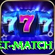 to day cricket match Deluxe Pro v2.5.3