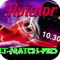 to day cricket match - Turbo Earning App