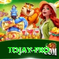 tojay Premium v2.8.3