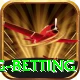 turkey super lig betting Games (Casino & Earning) Pro v2.3.7