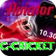 uc cricket Games (Casino & Earning) Gold v3.7.2