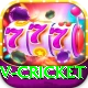v cricket VIP