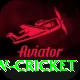 willow cricket Gold Pro v1.0.3