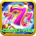 willow cricket Slots Royal v1.6.1