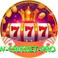 willow cricket Gaming Elite v3.6.2